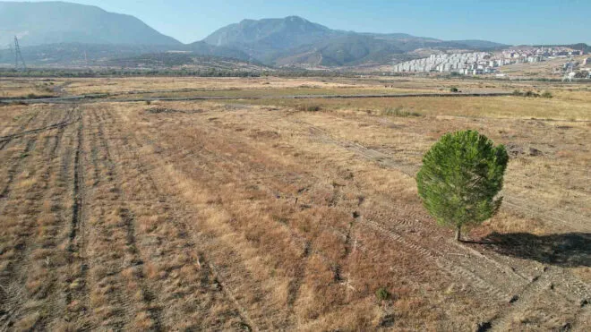 BYD Türkiye Fabrikası: Üretilecek İlk Modeller Sızdı!