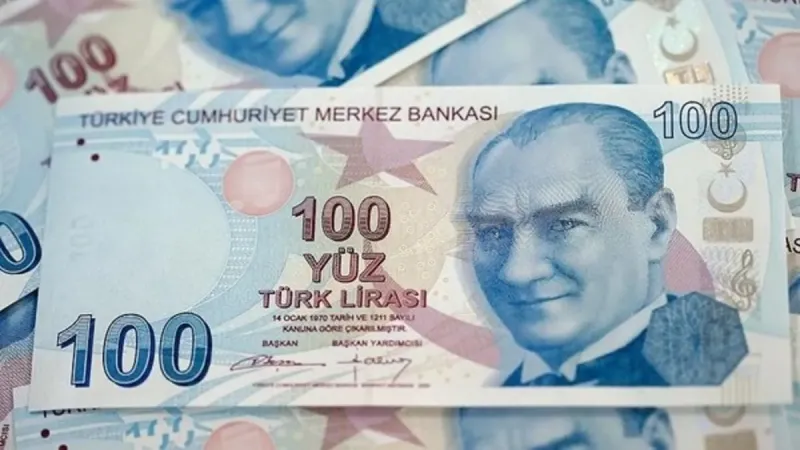 Haziran ayı SED ödemeleri sorgulama ekranı 2025: Sosyal ve Ekonomik Destek ödemeleri hesaplara yattı mı?