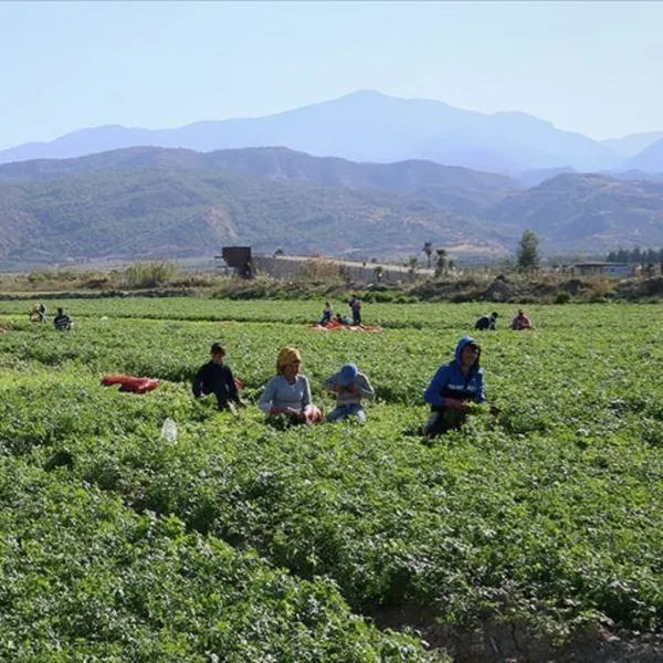 Mevsimlik işçinin tazminat hakkı
